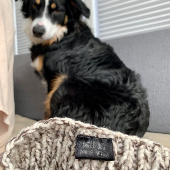 Wool Dog Sweater - Picture 4 of 5